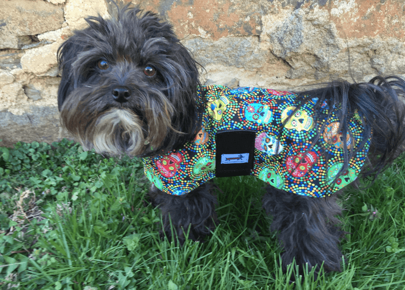 SnugPups Lightweight Fashion Jackets - Glad Dogs Nation | ALL profits donated
