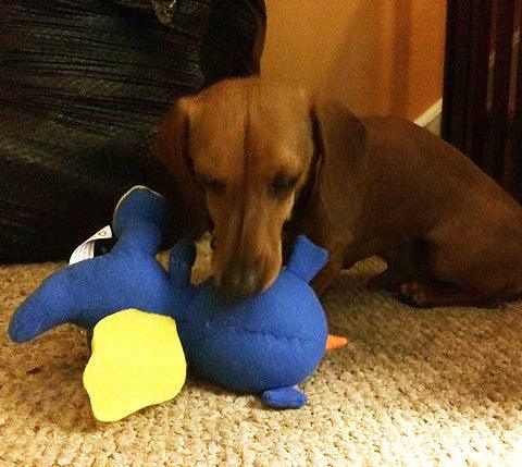 Small Stuffed NO SQUEAK Quiet Zone Dog Toys for Dogs 10 - 30 lbs. - Glad Dogs Nation | ALL Profits Donated