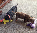 Small Stuffed SQUEAKY Dog & Puppy Toys / 10-30 lbs.
