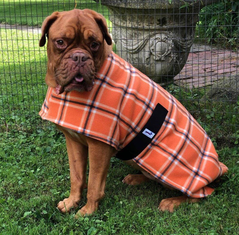 SnugPups Double Lined Poly Fleece Coats with Ruffles - Glad Dogs Nation | ALL Profits Donated