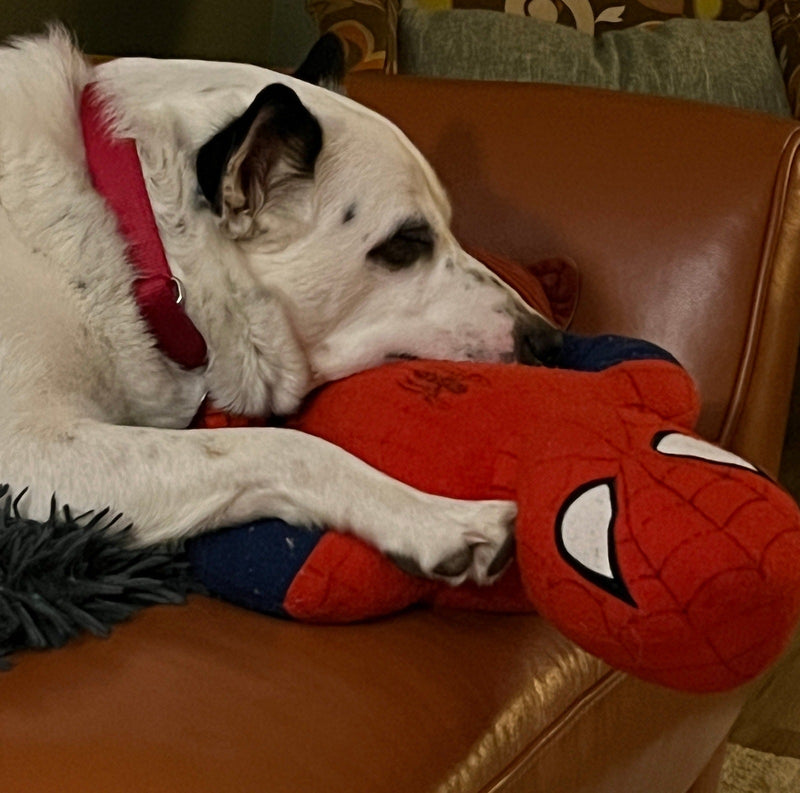 XXLarge 'Toon Town Famous Characters Squeaky & No Squeak Dog Toys: 20"+ - Glad Dogs Nation | ALL Profits Donated