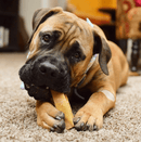 Yeti Dog Chew Large Yak Cheese Chew for Dogs up to 55 lbs: Single or 2 Pack - Glad Dogs Nation | ALL Profits Donated